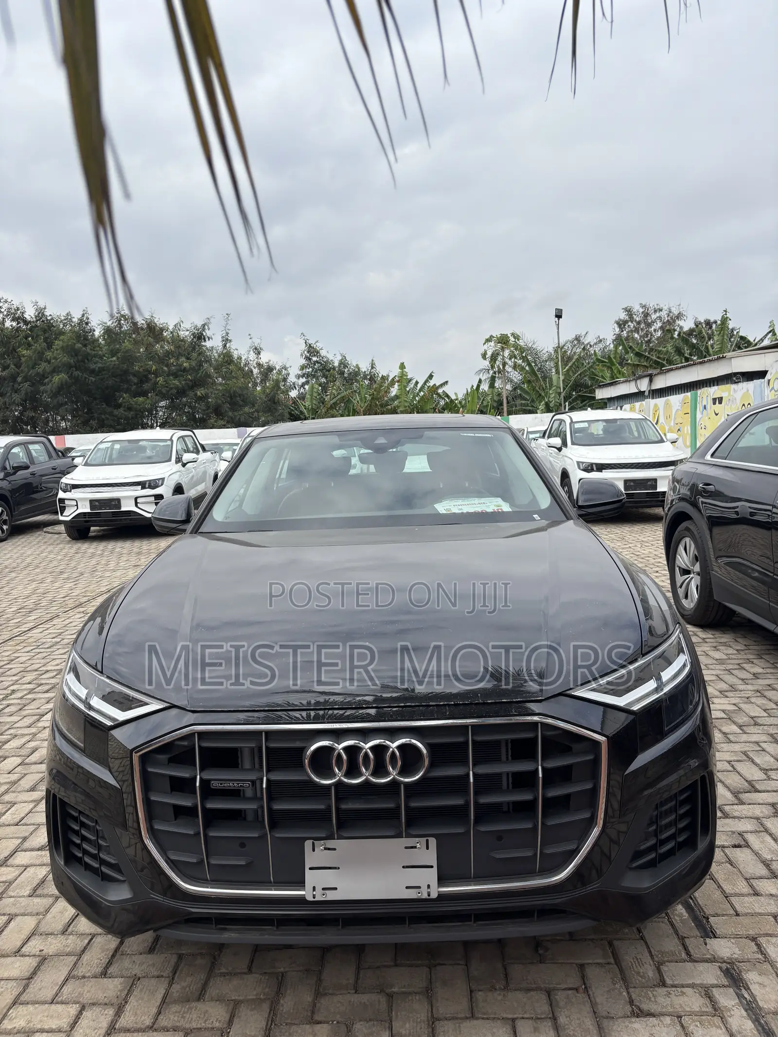 New Audi Q8 2023 Black