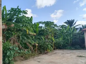Land for Sale at Mpatado