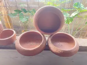Rabbit Clay Feeding Pot