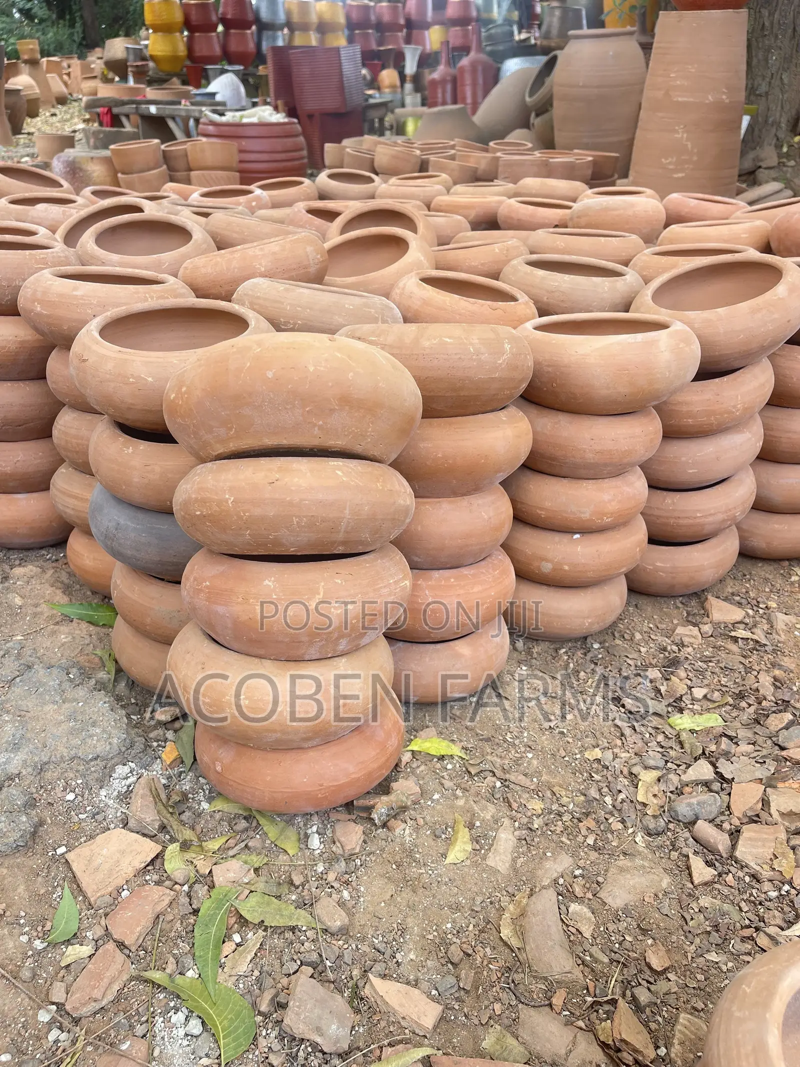 Rabbit Clay Feeding Pot