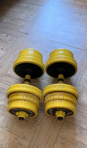 Dumbbells 20kg