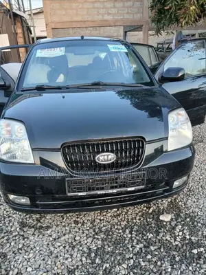 Kia Picanto 1.1 EX Automatic 2010 Matt Black