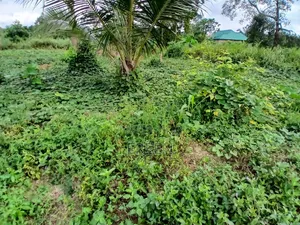 2 Plots of Land for Sale