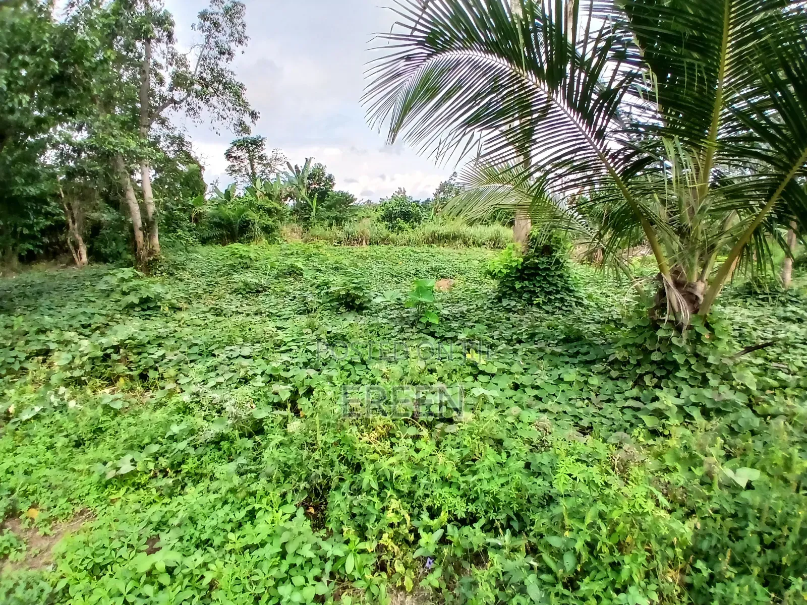 2 Plots of Land for Sale