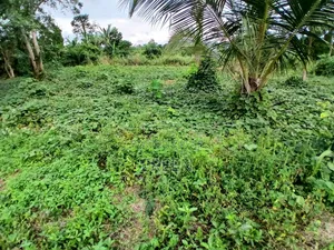 2 Plots of Land for Sale