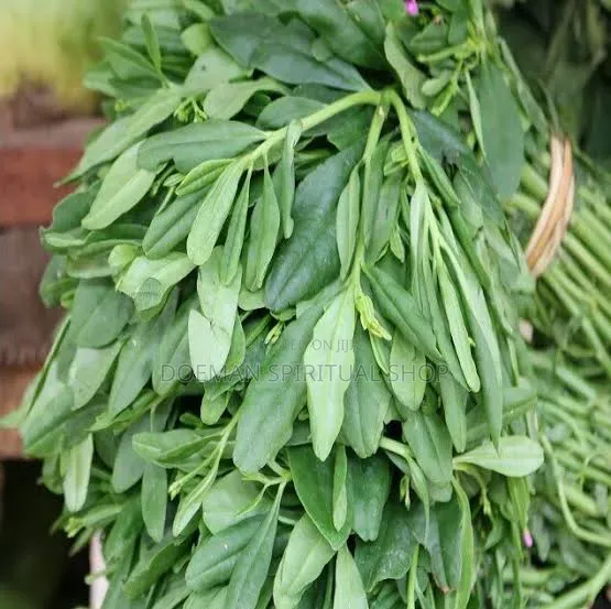 Water Leaves