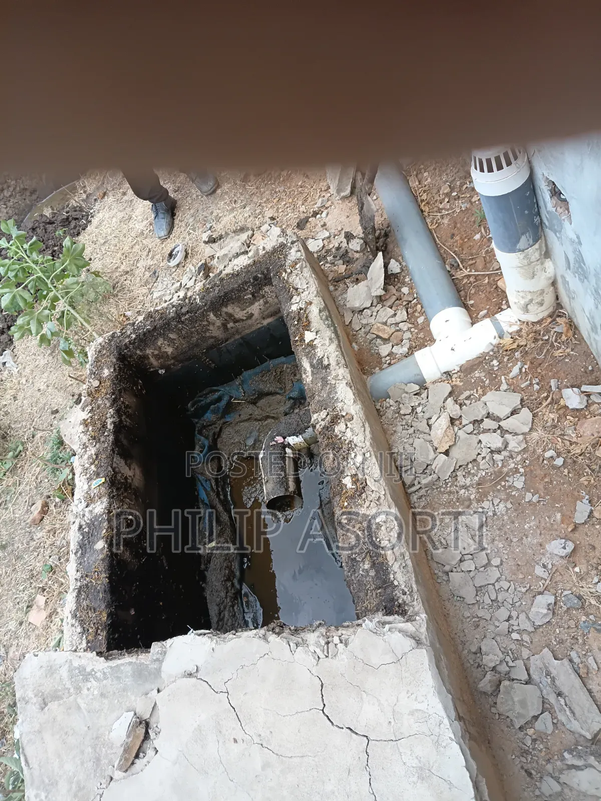 Get All Your Biodigester Emptied