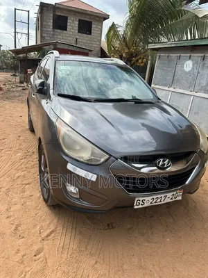 Hyundai Tucson 2013 Brown
