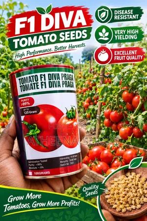 F1 Tomato Seeds (50grams)