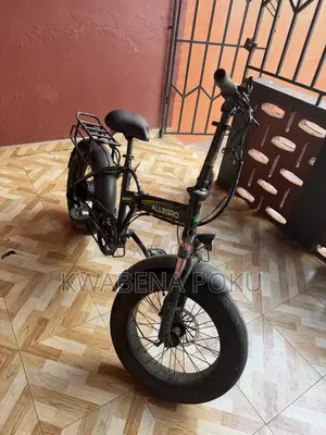 Electric Bike