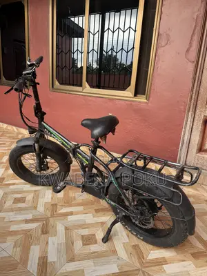 Electric Bike