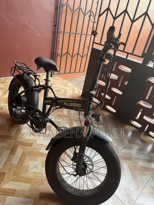 Electric Bike