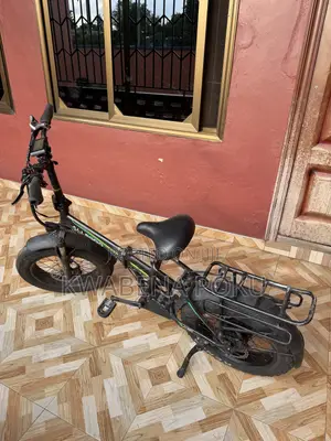Electric Bike