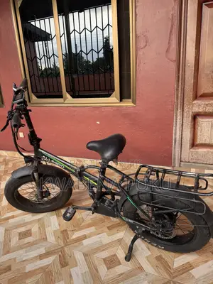 Electric Bike