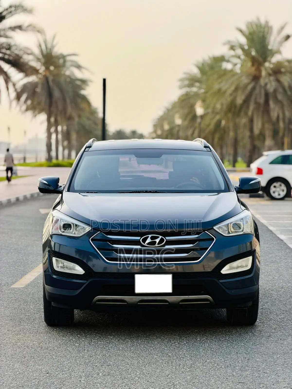 Hyundai Santa Fe 2014 Gray