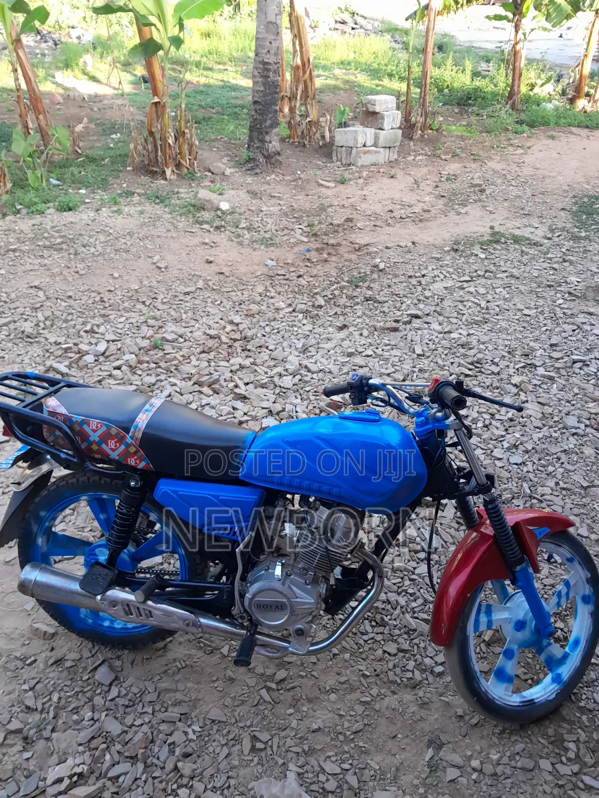 Royal RY125 2025 Blue
