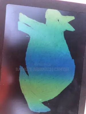 Free Rabbit Consultation and Treatment Guide