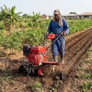 Multi-Purpose Gasoline Mini Power Tiller Ridger