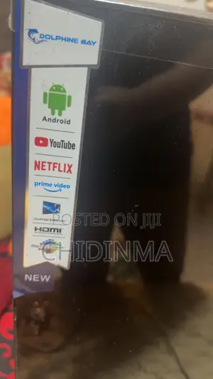Television