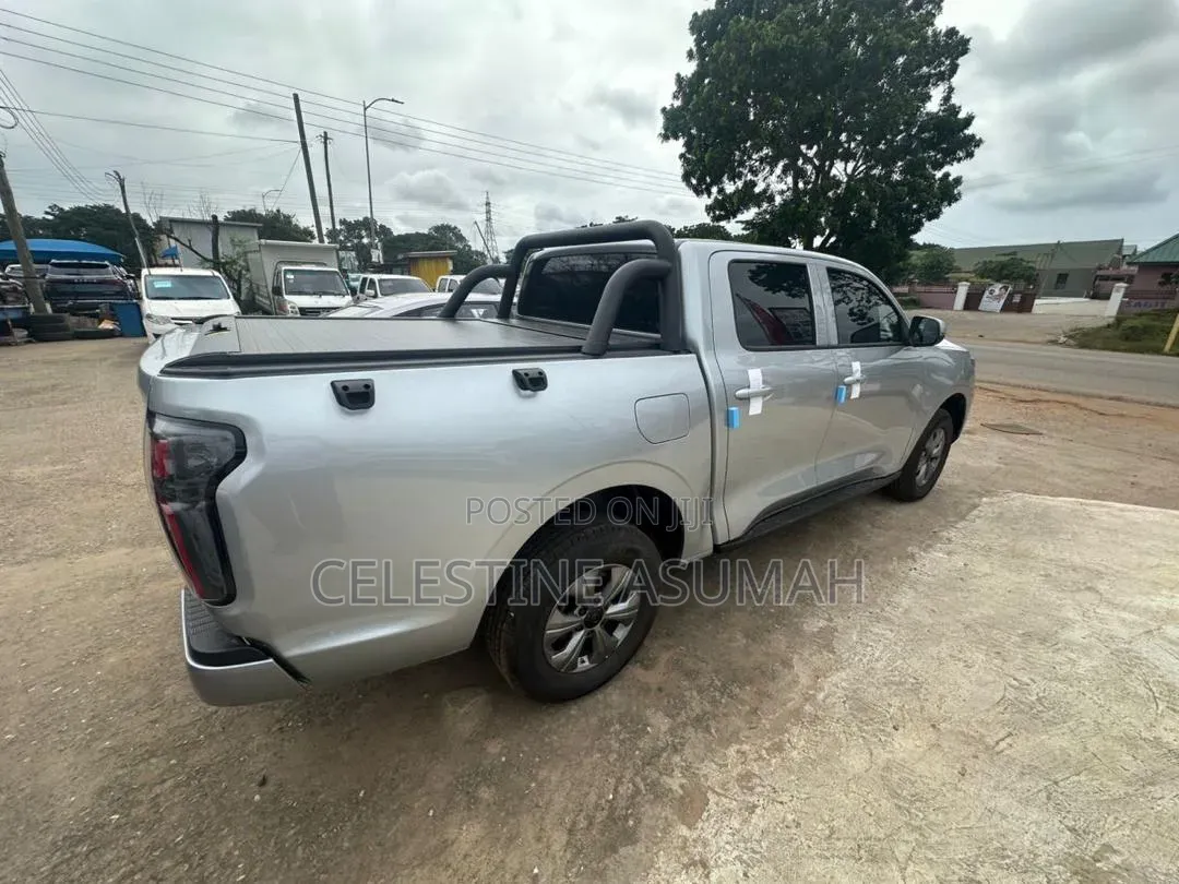 New Great Wall Pao 2025 Gray
