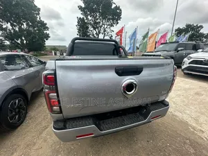 New Great Wall Pao 2025 Gray