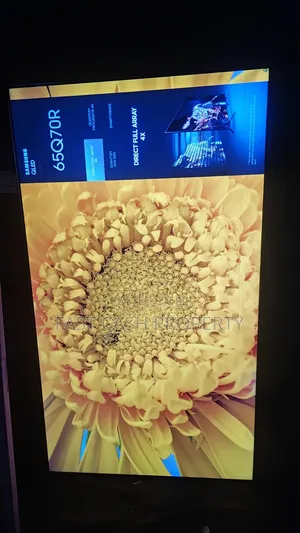 Samsung 65 Inches TV