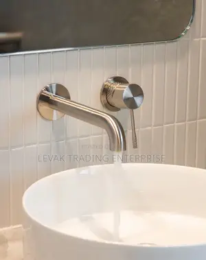 Stainless Concealed Wall Mounted Tap - Wall Faucet - Hidden Tap