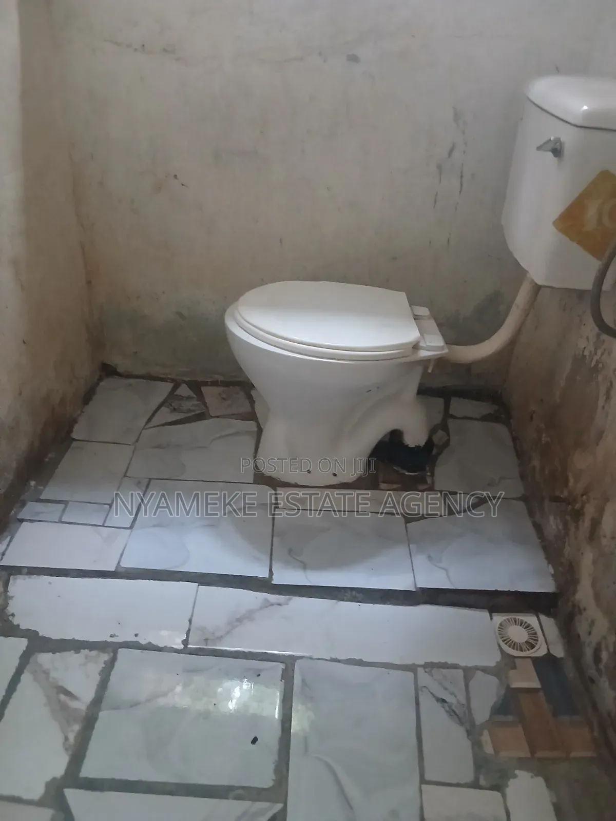 1bdrm Farm House in Karkari, Last Stop for rent