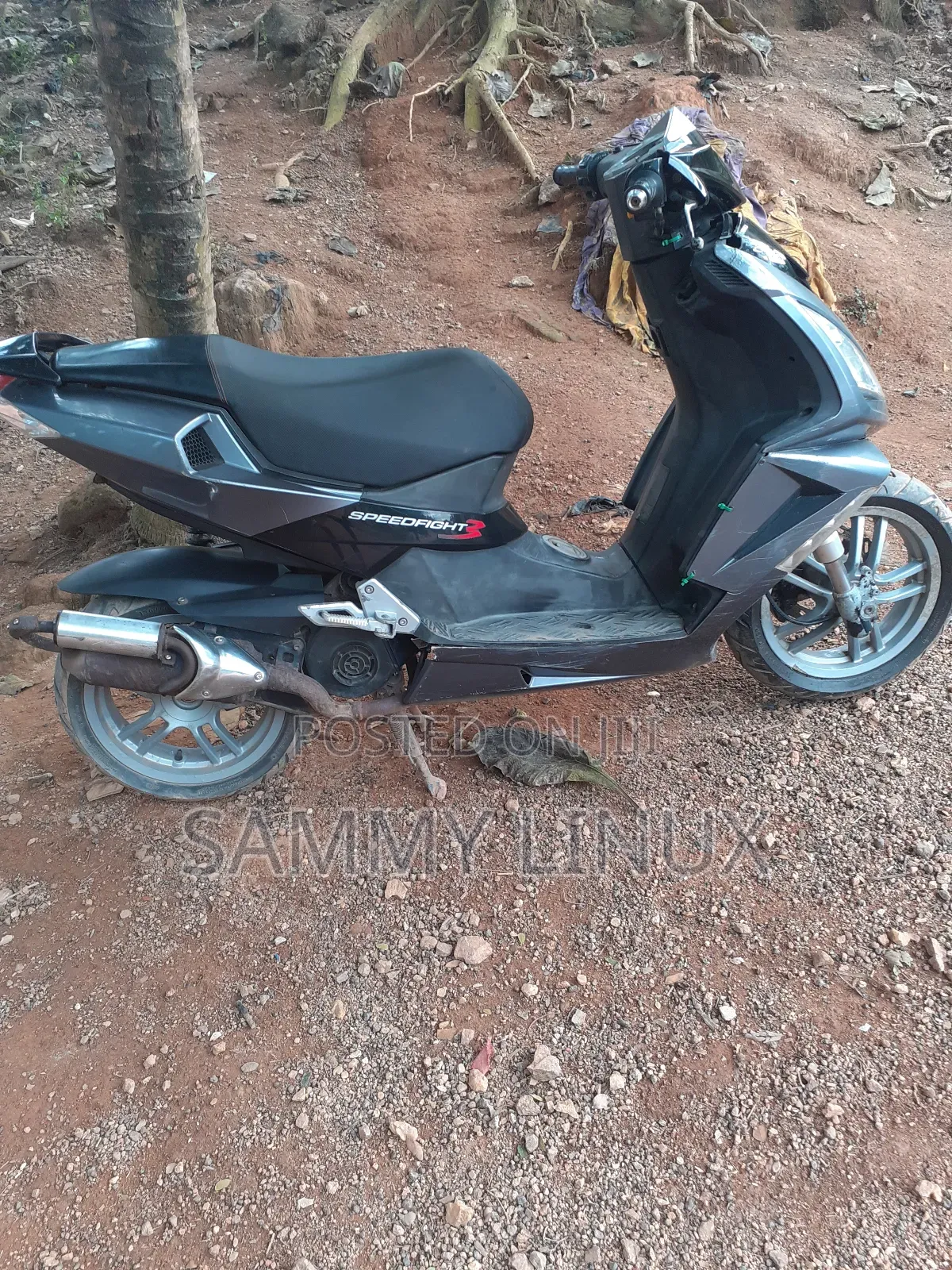 Peugeot Speedfight 3 2020 Gray