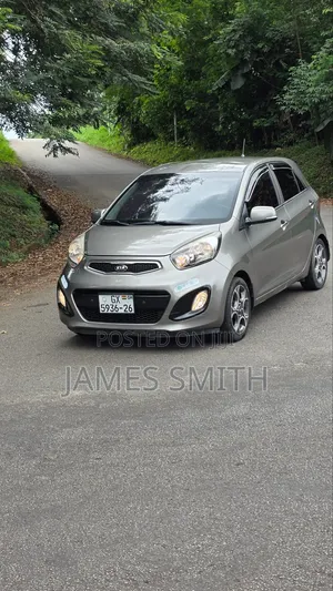 Kia Picanto 2015 Gray
