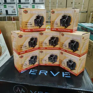 Protect Your Appliances With Best 100W Elbee Step Up Down Transformer