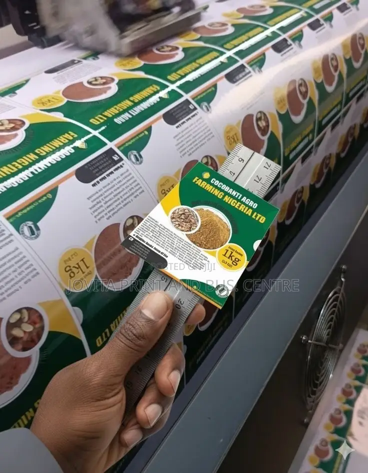Graphic Designer