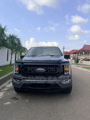 Ford F-150 XLT 2021 Gray