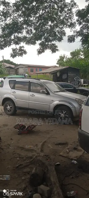 SsangYong Rexton RX 290 2005 Silver