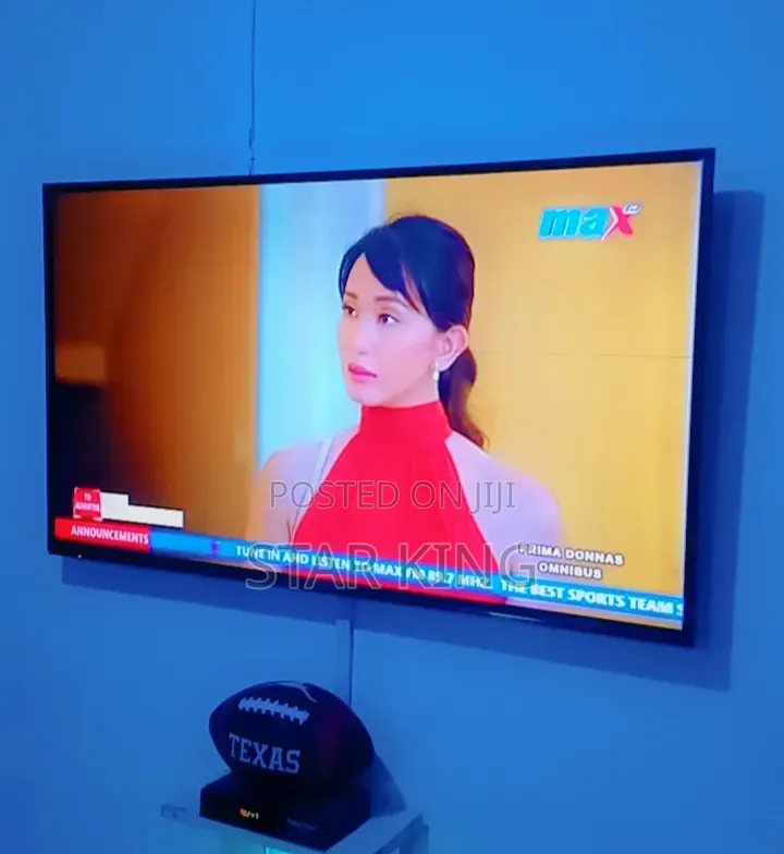 Panasonic 49 Inches TV