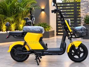 PP Electric Bike 48V 20Ah | 500W Motor | 40KM Range | Electric Scooter