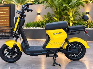 PP Electric Bike 48V 20Ah | 500W Motor | 40KM Range | Electric Scooter