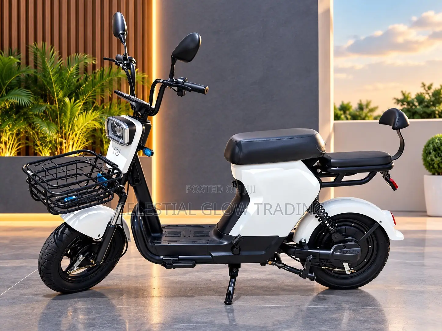 PP Electric Bike 48V 20Ah | 500W Motor | 40KM Range | Electric Scooter