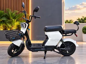 PP Electric Bike 48V 20Ah | 500W Motor | 40KM Range | Electric Scooter