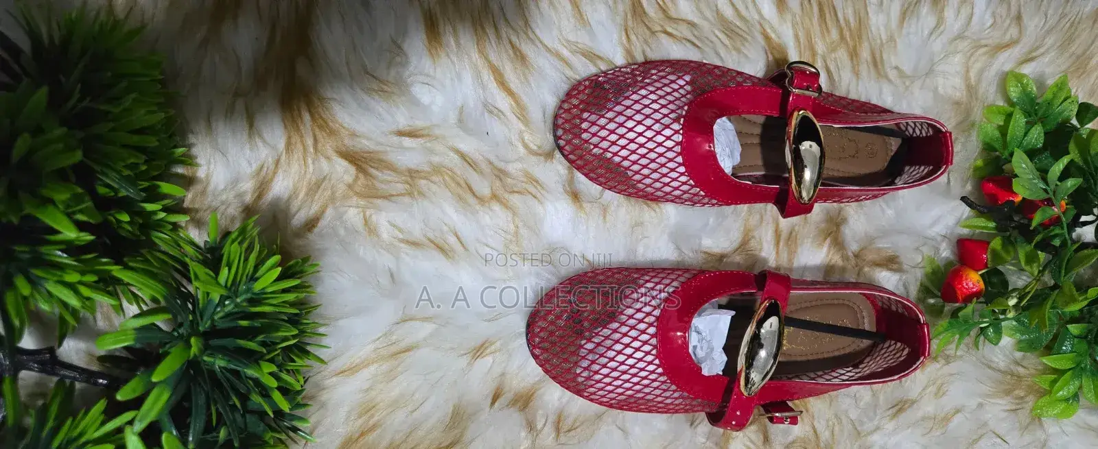 A .A Collections