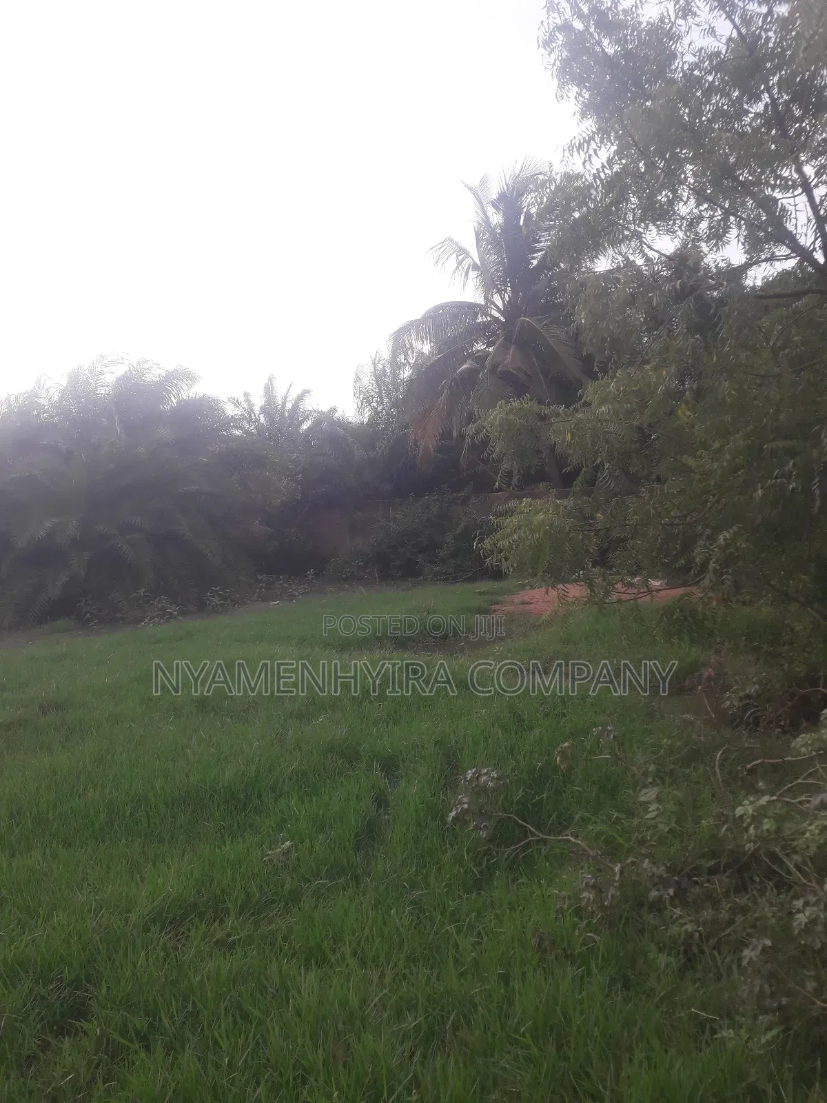 Full Plot of Land for Sale