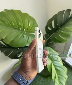 Apple iPhone 17 Pro Max 512 GB Silver