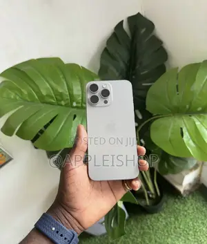 Apple iPhone 15 Pro Max 256 GB Silver