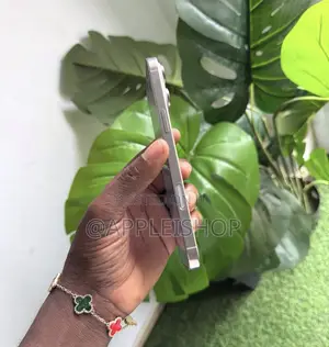 Apple iPhone 16 Pro Max 512 GB Silver