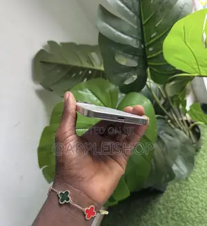 Apple iPhone 16 Pro Max 512 GB Silver