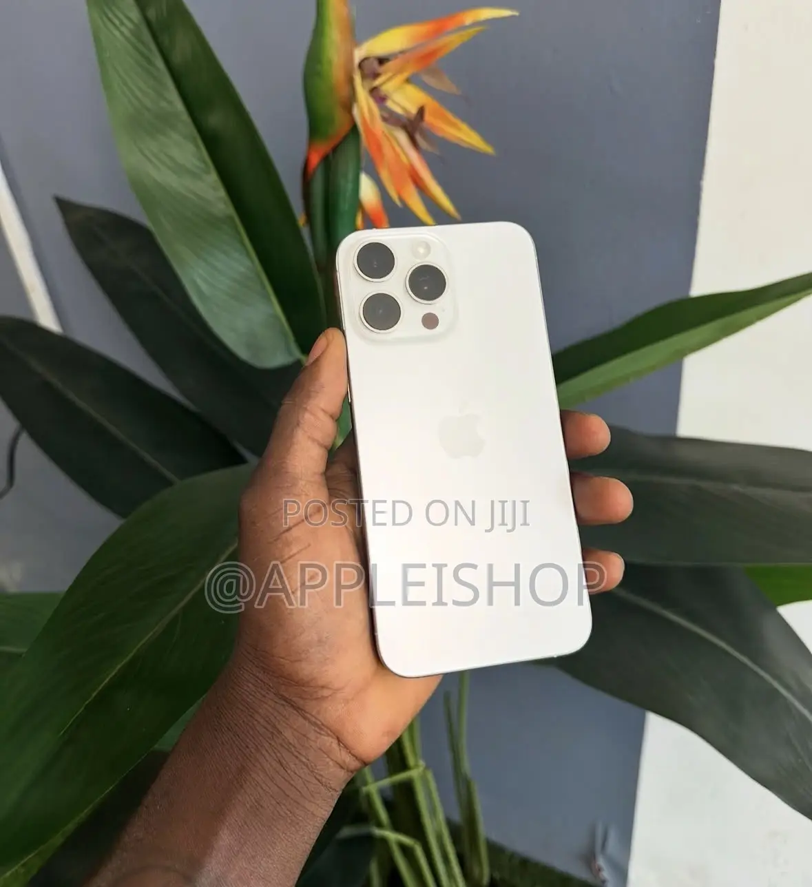 Apple iPhone 15 Pro Max 256 GB Silver