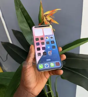 Apple iPhone 15 Pro Max 256 GB Silver