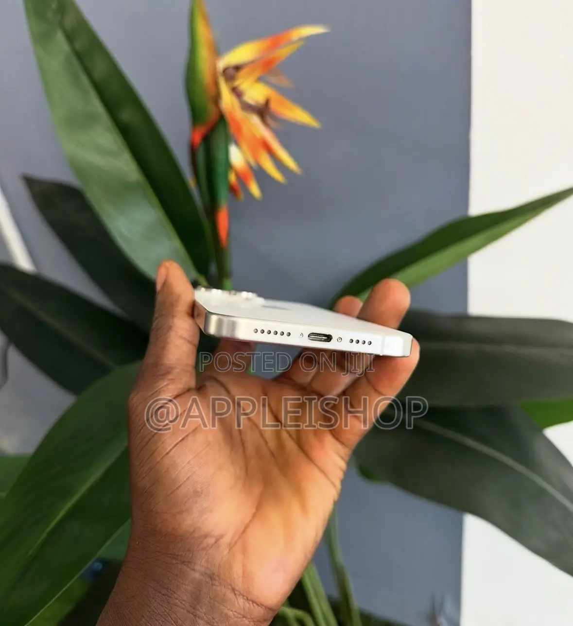 Apple iPhone 15 Pro Max 256 GB Silver