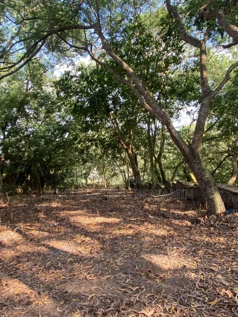 Land for Sale in Peduase Aburi