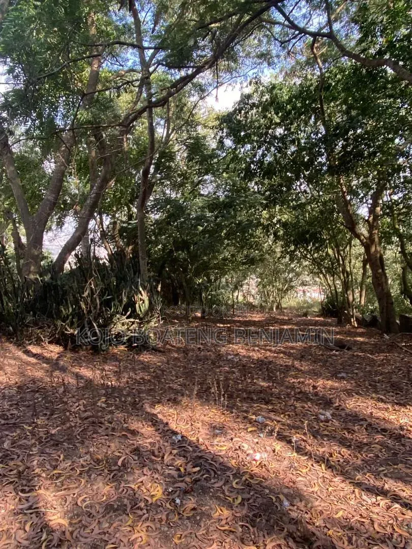 Land for Sale in Peduase Aburi